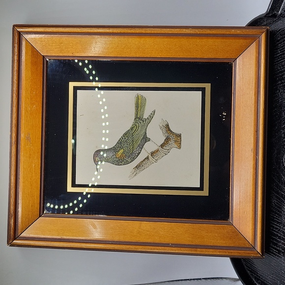 Vintage Bird Print in Brown Frame and Black Matting. Great for Gallery Wall! - Picture 5 of 6